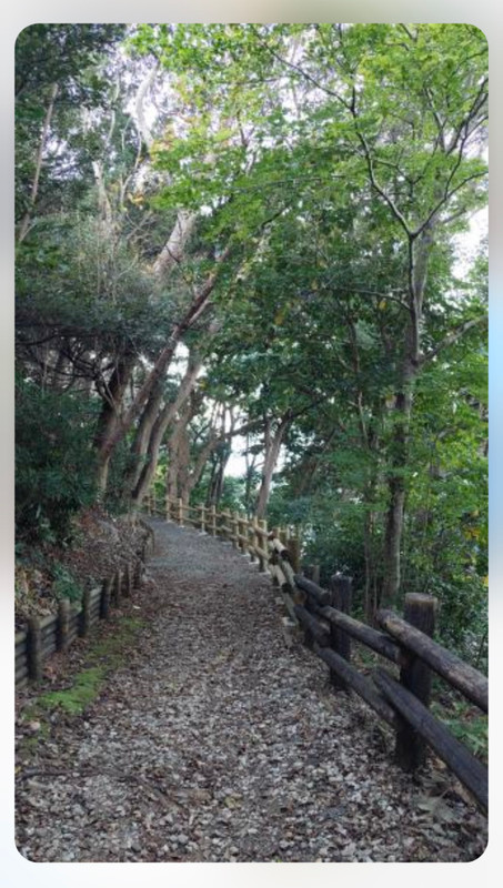 dokudantohenkenさんの写真 / 1