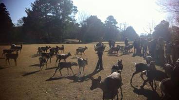 観光スポット / 4