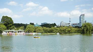 シティ ビュー / 13