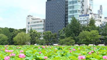 外観 / 8
