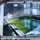 熊の湯温泉 熊の湯ホテル(長野県 リゾートホテル) / 4