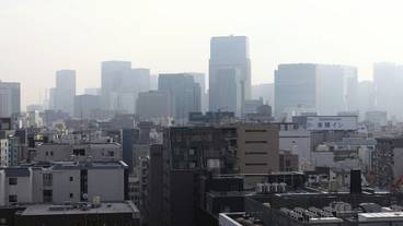 シティ ビュー / 9