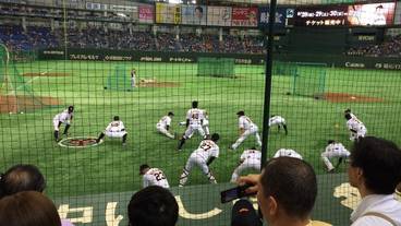 観光スポット / 13