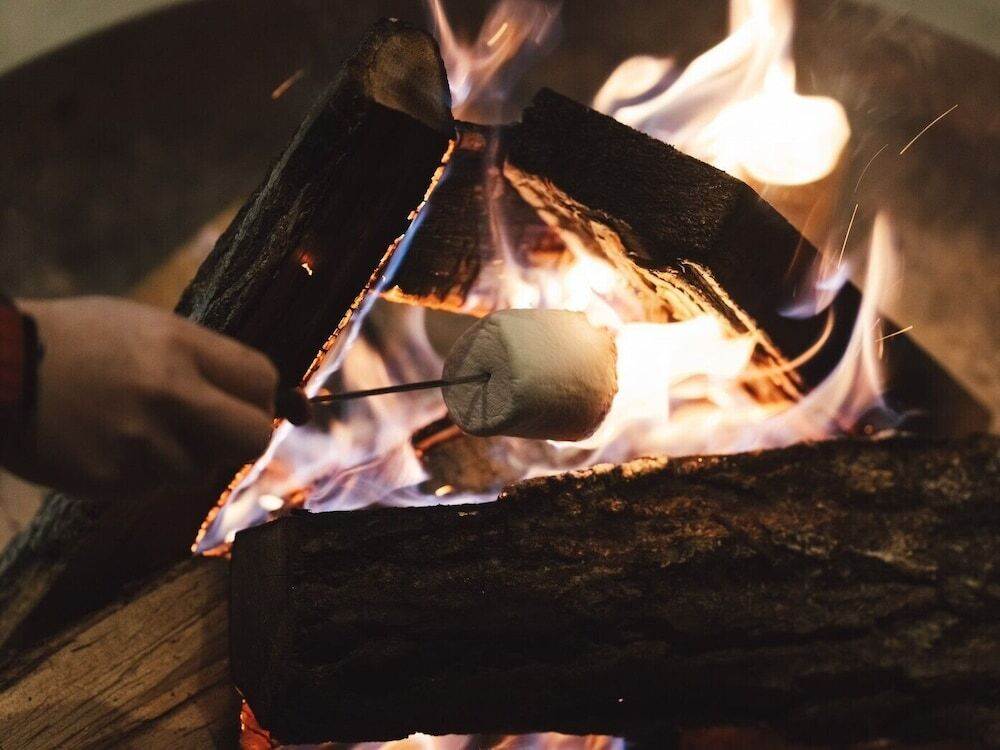 子供向けアクティビティ