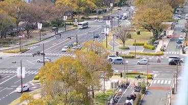 ストリート ビュー / 14