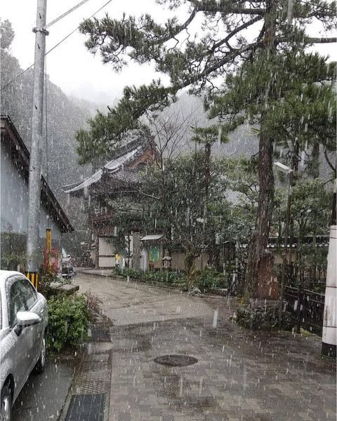 mtmxaliceさんの写真 / 4