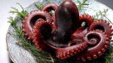 食事・飲み物 / 30