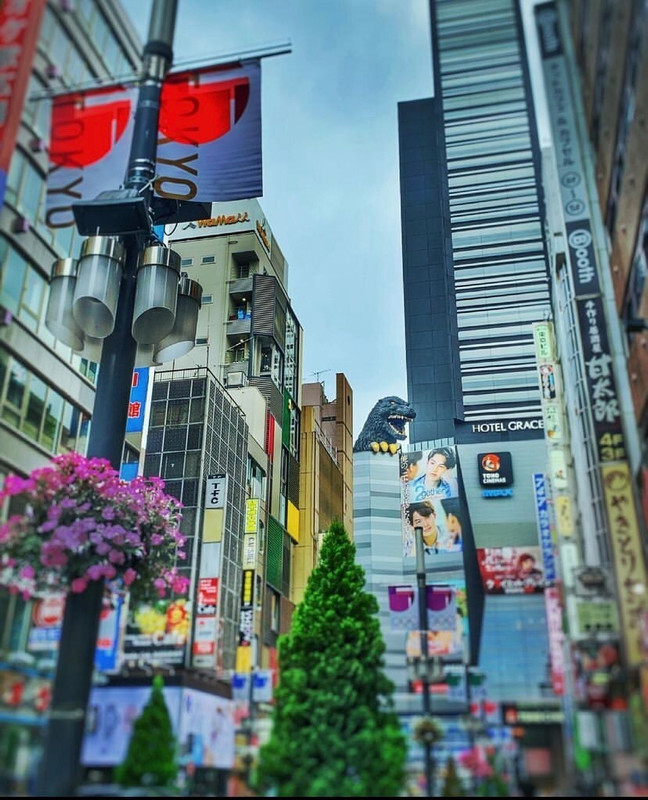 appleikoさんの写真 / 1