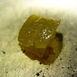 草庵秋桜（コスモス）