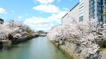 シティ ビュー / 13