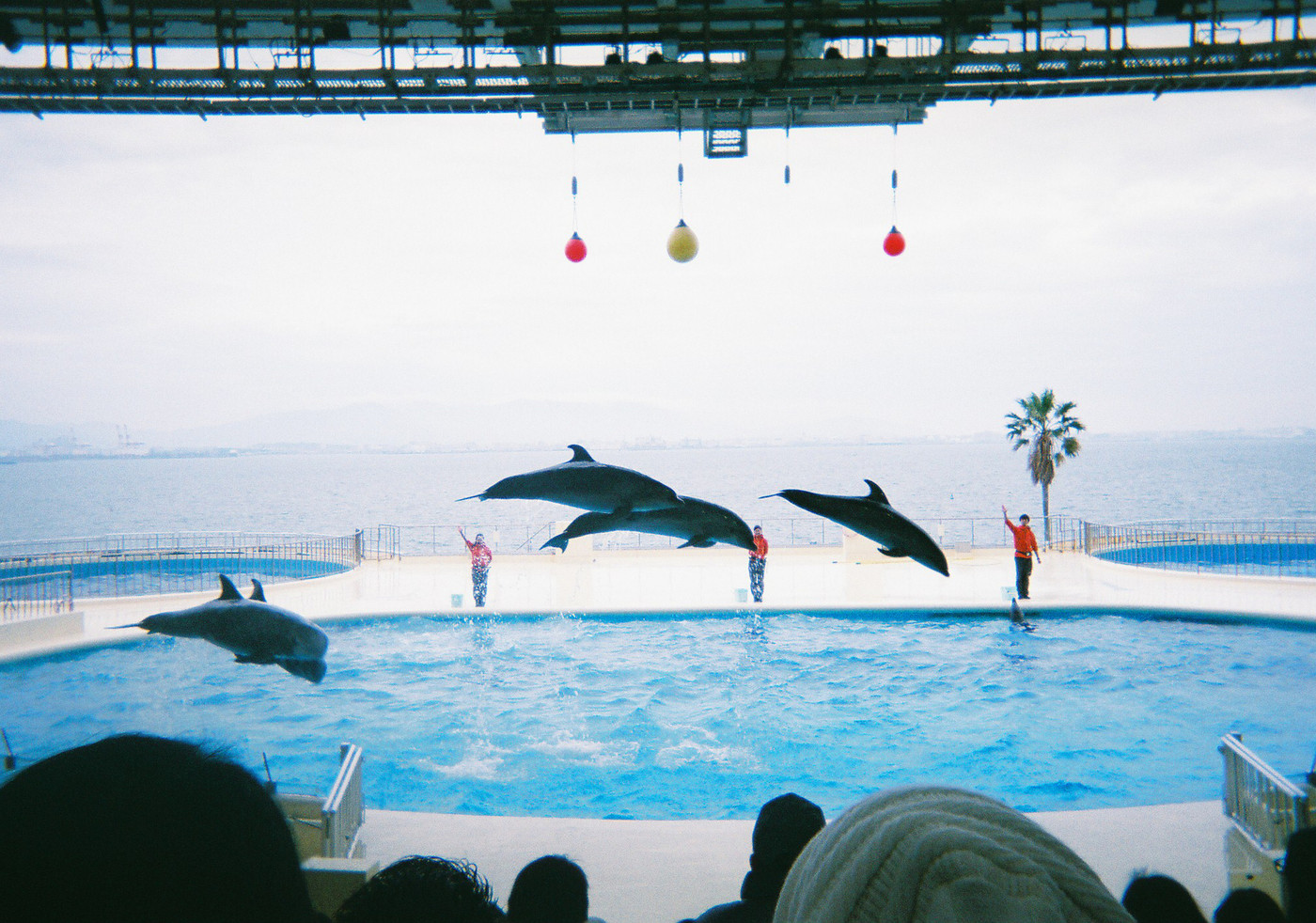 九州各地の海を再現!大人も楽しい見所満載の水族館☆2007932