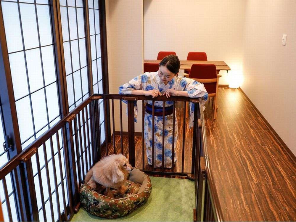 わんこルーム付和洋室②