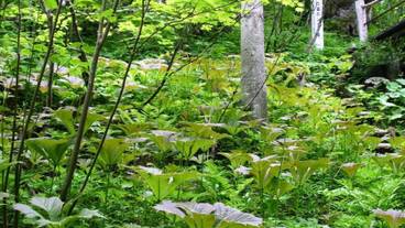 施設の敷地 / 24