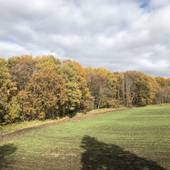 ペンション ポップコーン（山梨県 ペンション） / 3