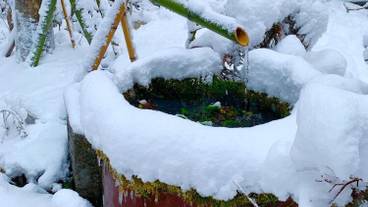 レストラン / 16