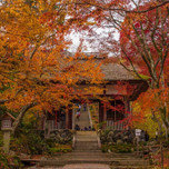 秋の京都を1泊2日で満喫♩紅葉をたっぷり楽しむ旅行のモデルコース