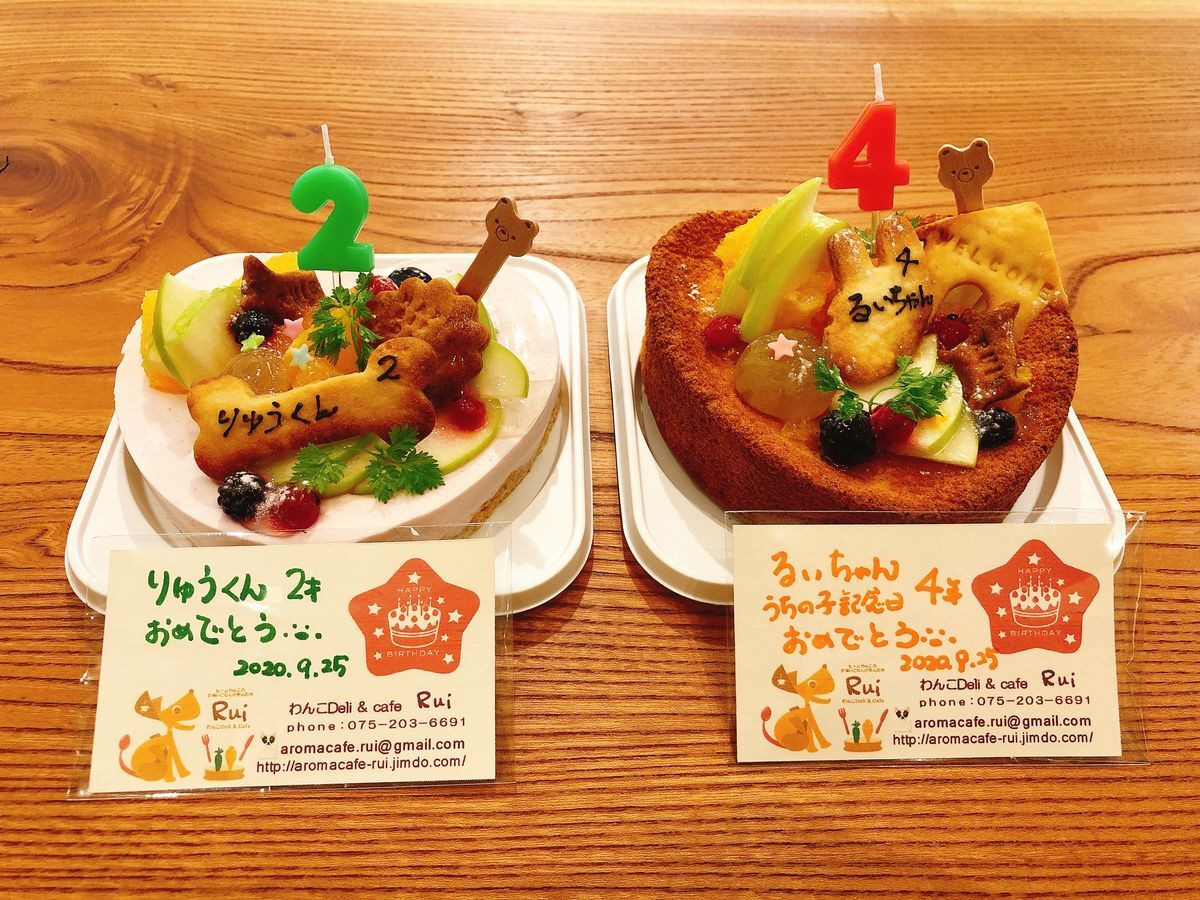 ドッグテラスでワンちゃん興奮♪豊富なグッズにおもてなし度◎3929434