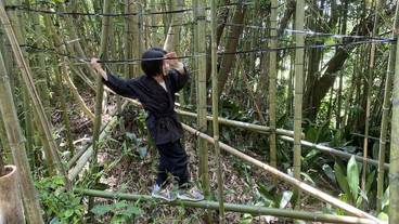 エコツアー / 15