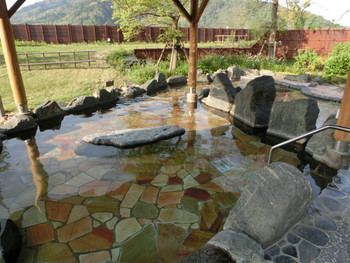 カーブドッチ ヴィネスパ(新潟県)818247