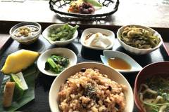 山の茶屋 楽水