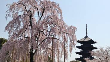 施設からの眺望 / 5