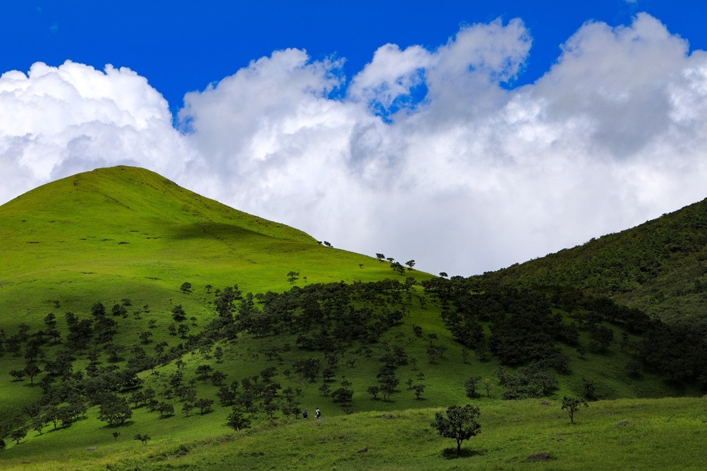 絶景の「日本二百名山」を歩く「由布岳」3968123