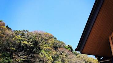 マウンテン ビュー / 12