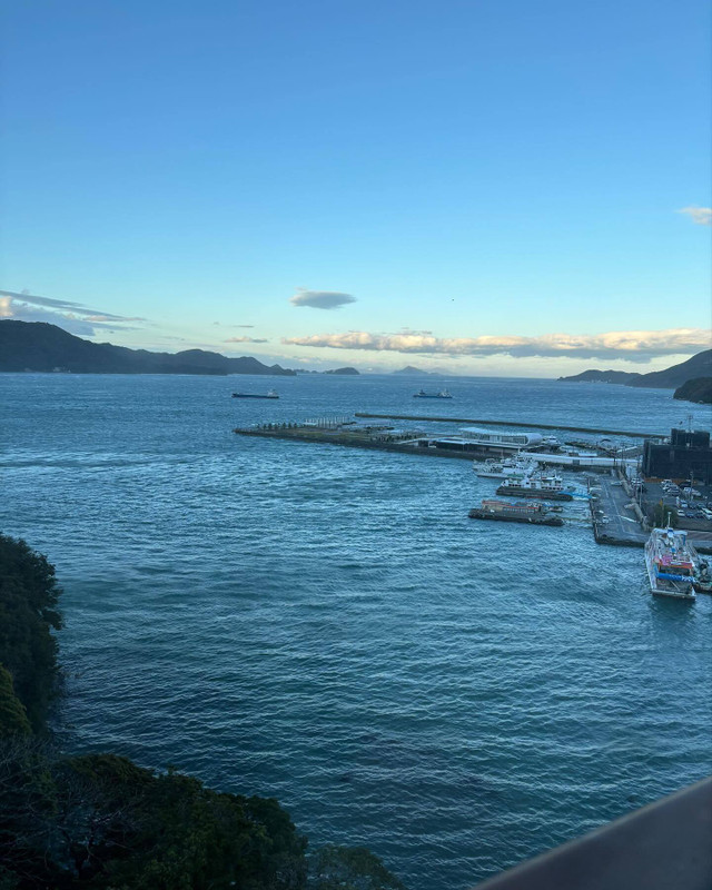 paco_pszさんの写真 / 1