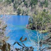 ホテルタキモト（長野県 リゾートホテル） / 5