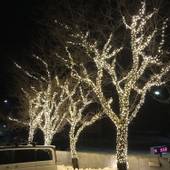 越後湯沢温泉 さくら亭（新潟県 旅館） / 5