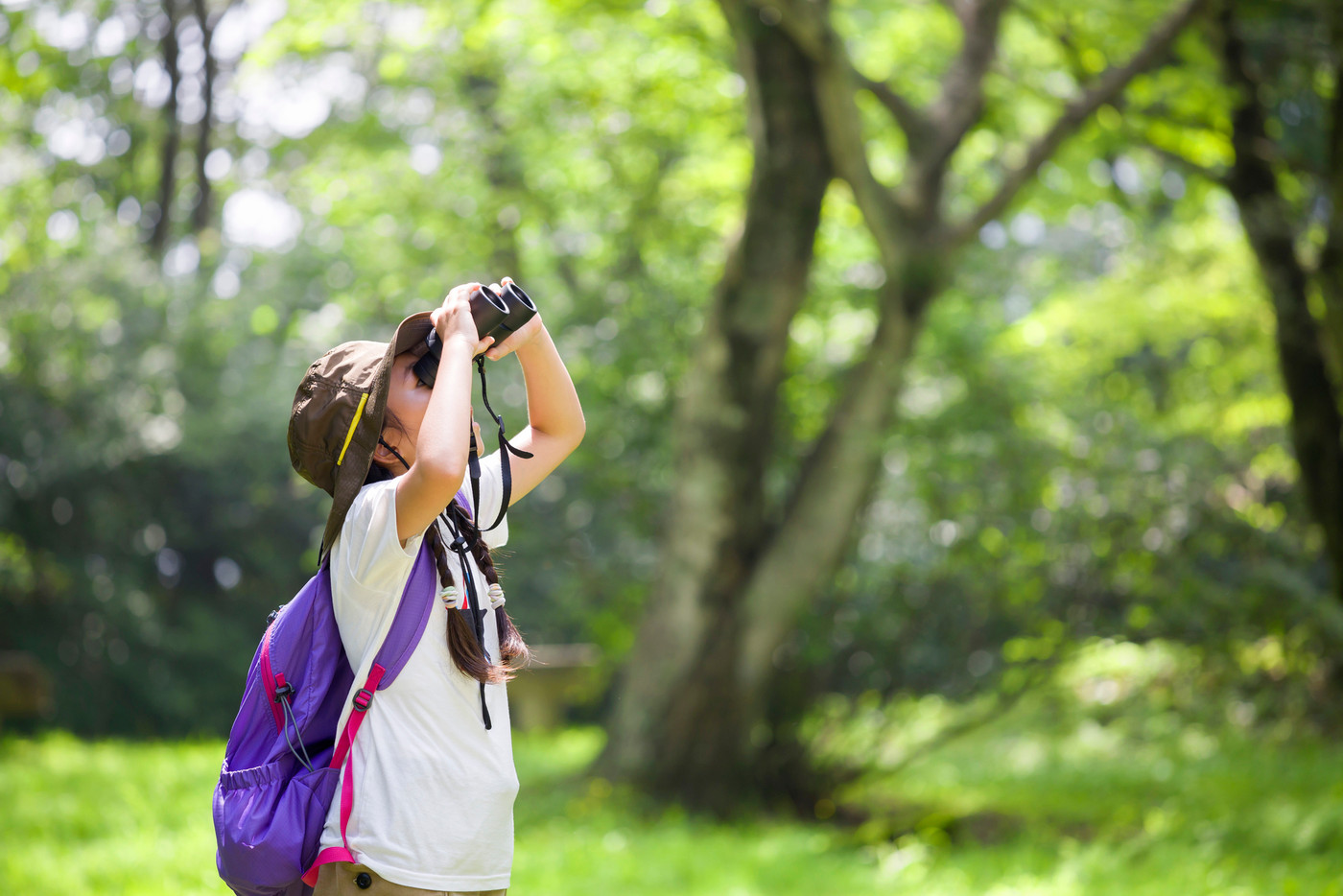 バードウォッチングをする小学生女の子