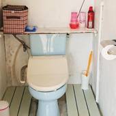 KOURIJIMA ぶどうの樹（沖縄県 民宿） / 4