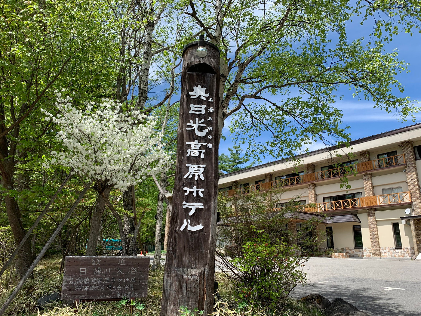 ペットと泊まれる離れの客室でのんびり3933711