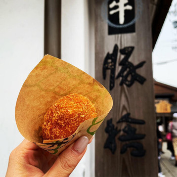 「おかげ横丁 豚捨」 料理 100159520 