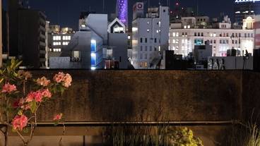 施設からの眺望 / 19