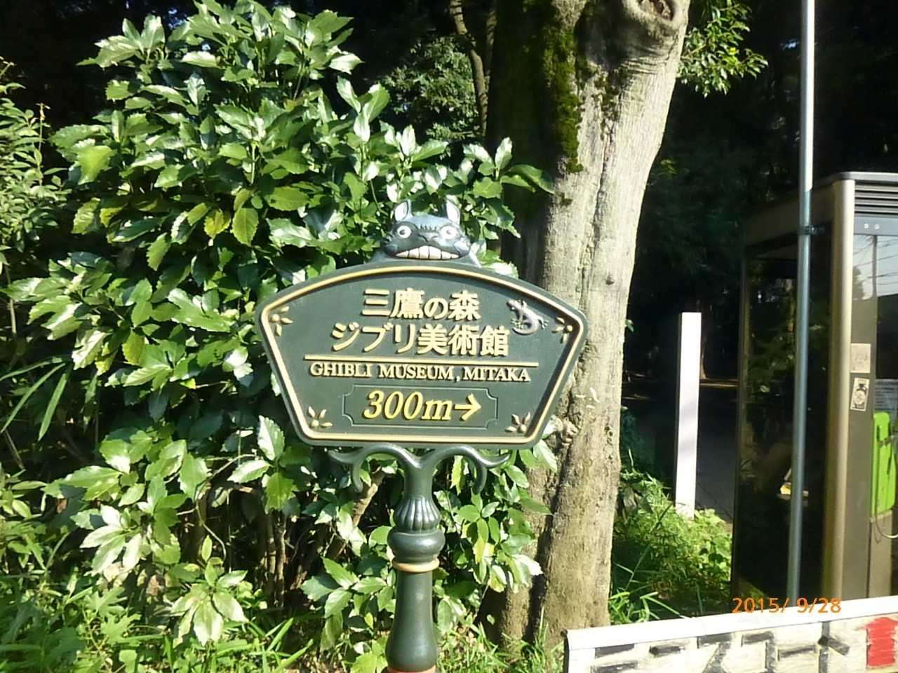 チケットの取り方は？1018476