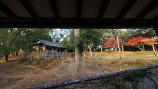 スタンダード 4 人部屋 パークビュー