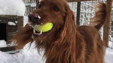 施設の敷地 / 26