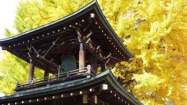 施設からの眺望 / 23