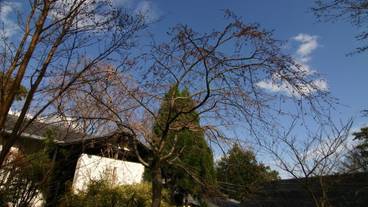 施設の敷地 / 21