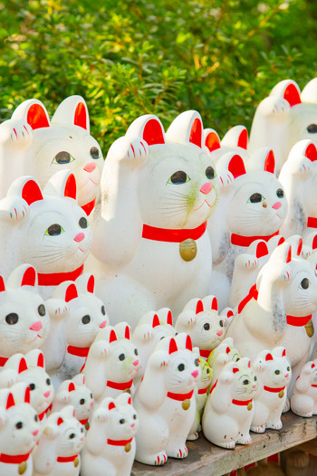 豪徳寺 招福猫児奉納所
