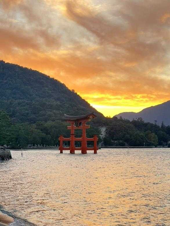 aki_nyankoさんの写真 / 5