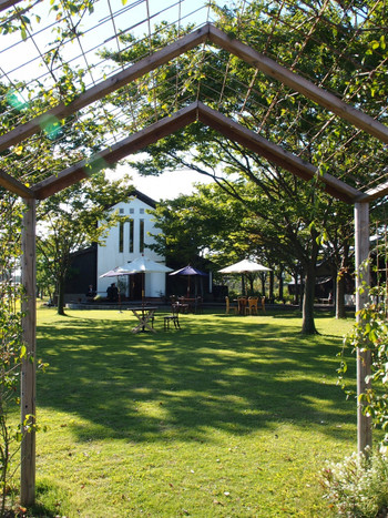 カーブドッチ ヴィネスパ(新潟県)818253