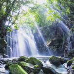 熊本・阿蘇の「夫婦滝」がスゴイ！神々しい光の絶景スポット