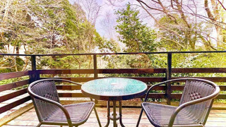 ジュニアスイートルーム 禁煙