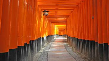 観光スポット / 5