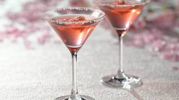 客室の設備とサービス / 40