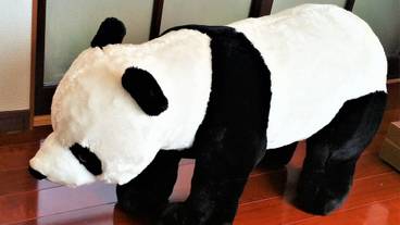 客室の設備とサービス / 13