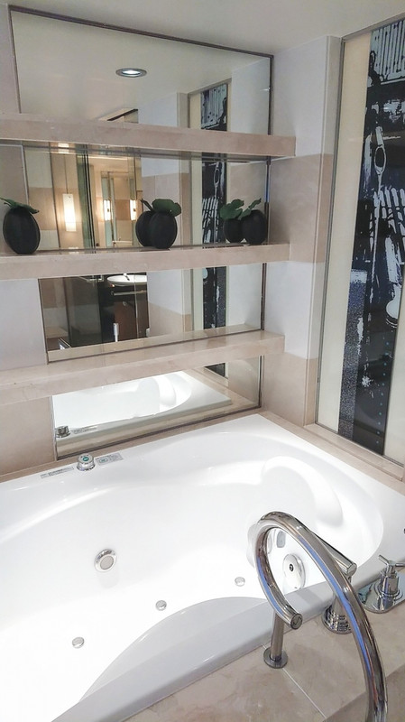 開放的なビューバス