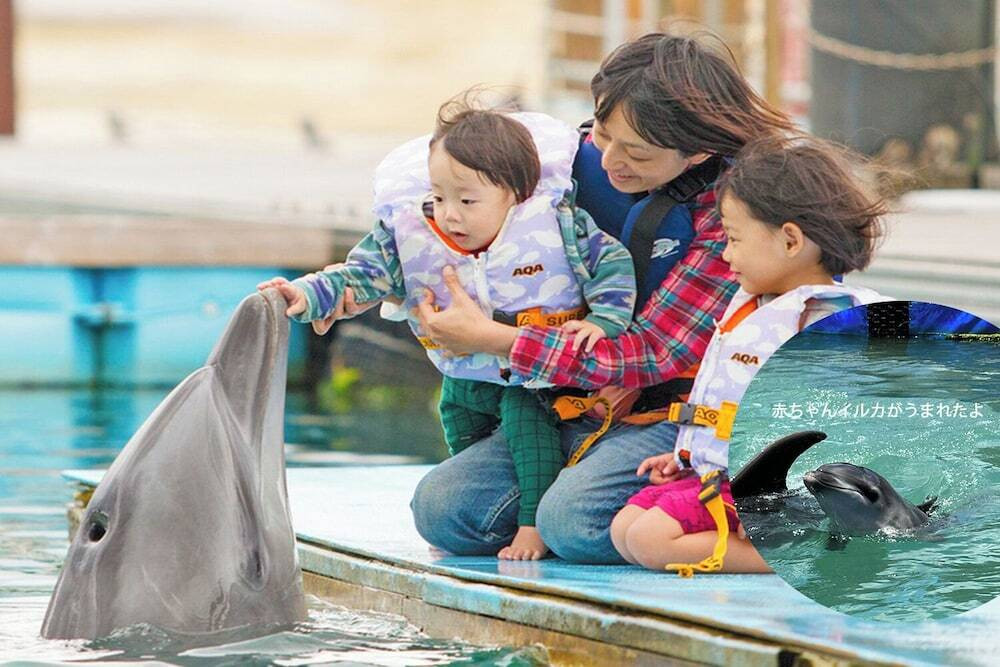 子供向けアクティビティ